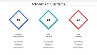 Schedule cash payments ppt powerpoint presentation icon professional cpb