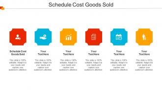 Schedule Cost Goods Sold Ppt Powerpoint Presentation Portfolio Example File Cpb