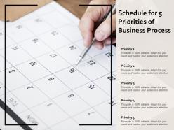 Schedule for 5 priorities of business process