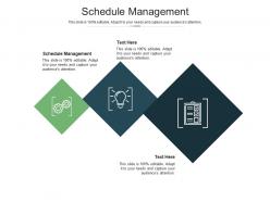 Schedule management ppt powerpoint presentation icon microsoft cpb