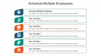 Schedule multiple employees ppt powerpoint presentation summary portfolio cpb