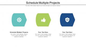 Schedule multiple projects ppt powerpoint presentation icon slideshow cpb