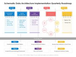 Schematic data architecture implementation quarterly roadmap
