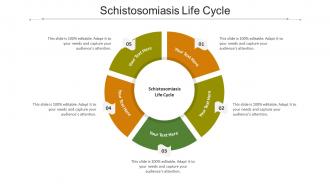 Schistosomiasis life cycle ppt powerpoint presentation icon example file cpb