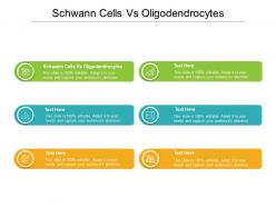 Schwann cells vs oligodendrocytes ppt powerpoint smartart cpb