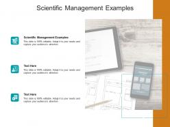 Scientific management examples ppt powerpoint presentation slides structure cpb