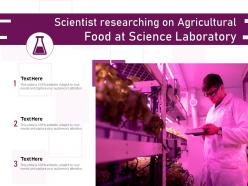 Scientist researching on agricultural food at science laboratory