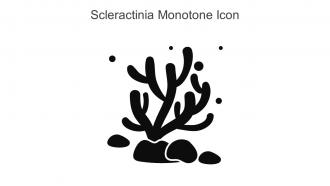 Scleractinia Monotone Icon In Powerpoint Pptx Png And Editable Eps Format