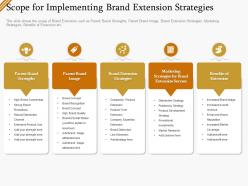 Scope for implementing brand extension strategies ppt gallery styles