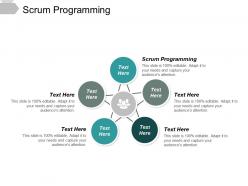 Scrum programming ppt powerpoint presentation file graphic images cpb