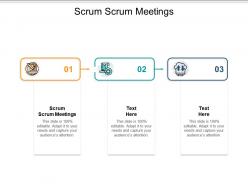 Scrum scrum meetings ppt powerpoint presentation slides demonstration cpb
