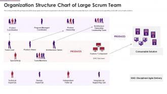 Scrum team composition organization structure chart of large scrum team