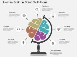 sd Human Brain In Stand With Icons Flat Powerpoint Design