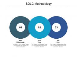 Sdlc methodology ppt powerpoint presentation gallery files cpb