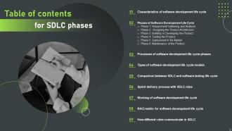 SDLC Phases IT Powerpoint Ppt Template Bundles Template Image