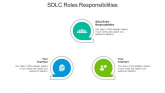 Sdlc roles responsibilities ppt powerpoint presentation outline elements cpb