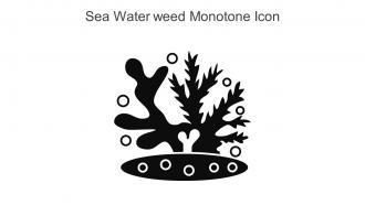 Sea Water Weed Monotone Icon In Powerpoint Pptx Png And Editable Eps Format
