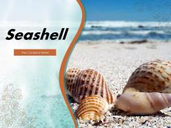Seashell Precious Current Sunglasses Different Laying