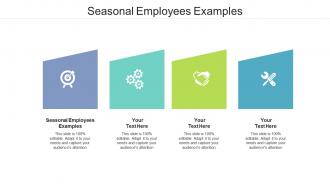 Seasonal employees examples ppt powerpoint presentation ideas styles cpb