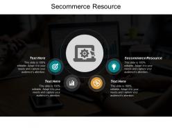 Secommerce resource ppt powerpoint presentation portfolio introduction cpb