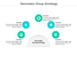 Secondary group sociology ppt powerpoint presentation gallery vector cpb