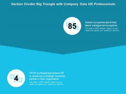 Section divider big triangle with company data hr professionals