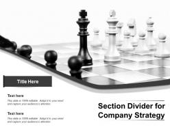 Section divider for company strategy