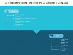 Section divider showing tringle pros and cons related to companies
