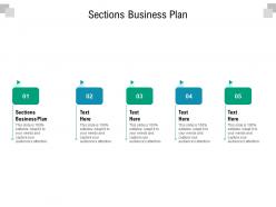 Sections business plan ppt powerpoint presentation layouts influencers cpb