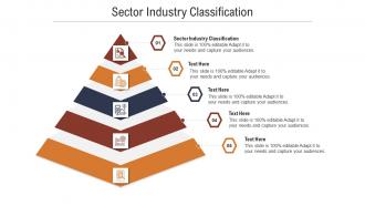 Sector industry classification ppt powerpoint presentation layouts summary cpb