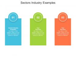 Sectors industry examples ppt powerpoint presentation file ideas cpb