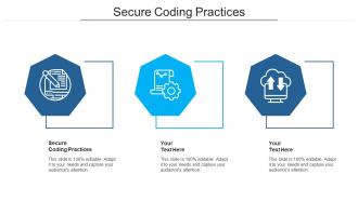 Secure coding practices ppt powerpoint presentation summary icons cpb