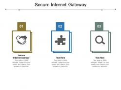Secure internet gateway ppt powerpoint presentation show layout cpb