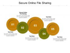 Secure online file sharing ppt powerpoint presentation professional graphics cpb