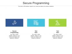Secure programming ppt powerpoint presentation gallery skills cpb