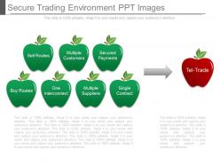 Secure Trading Environment Ppt Images