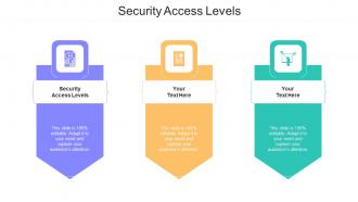 Security Access Levels Ppt Powerpoint Presentation Professional Templates Cpb