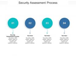 Security assessment process ppt powerpoint presentation portfolio portrait cpb