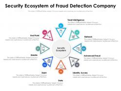 Security Ecosystem Of Fraud Detection Company