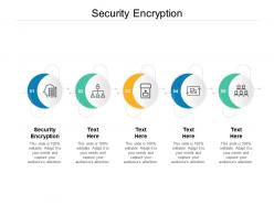 Security encryption ppt powerpoint presentation gallery sample cpb