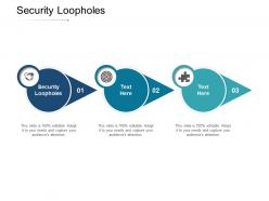 Security loopholes ppt powerpoint presentation portfolio graphics template cpb