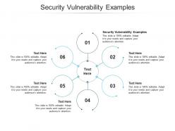 Security vulnerability examples ppt powerpoint presentation infographic template cpb