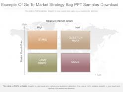 See example of go to market strategy bag ppt samples download
