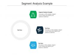 Segment analysis example ppt powerpoint presentation portfolio templates cpb