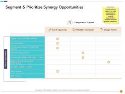 Segment And Prioritize Synergy Opportunities Brand Ppt Powerpoint Presentation Professional Ideas