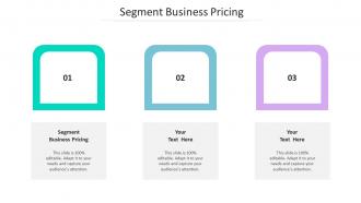 Segment Business Pricing Ppt Powerpoint Presentation File Summary Cpb