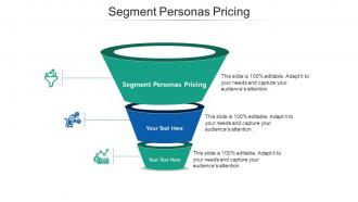 Segment personas pricing ppt powerpoint presentation infographic template cpb