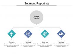 Segment reporting ppt powerpoint presentation infographic template infographic template cpb