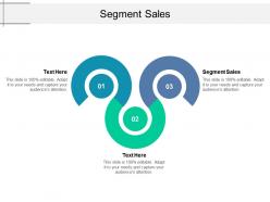 Segment sales ppt powerpoint presentation infographic template format cpb