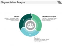Segmentation analysis ppt powerpoint presentation infographic template slide portrait cpb